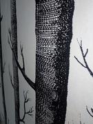 DecorZee Black & White Birch Tree Print Wallpaper Review