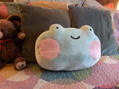 Shopzoki Ebbo Frog USB Heated Cushion Review