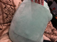 Shopzoki Ebbo Frog USB Heated Cushion Review