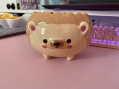 Shopzoki Heji Hedgehog Planter Review