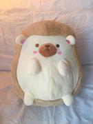 Shopzoki Heji Hedgehog Heatable Plush Review