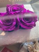 Eternal Roses® Mini Chelsea Gift Box Review