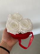 Eternal Roses® Mini Chelsea Gift Box Review