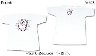 SurgicalCaps.com Heart Section T Shirt Review