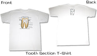 SurgicalCaps.com Dentistry Skull T Shirt Review