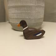 Rockaway Toys Holztiger Swimming Duck Review
