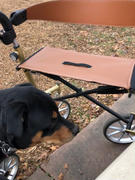Senior.com Trust Care Let’s Go Out Euro-Style Folding Rollator with Seat & Storage Review
