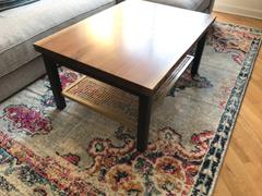 Poly & Bark Hayden Medallion Distressed Area Rug Review