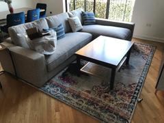 Poly & Bark Hayden Medallion Distressed Area Rug Review