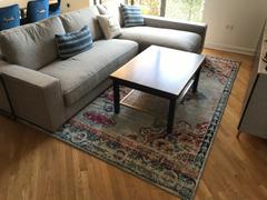 Poly & Bark Hayden Medallion Distressed Area Rug Review