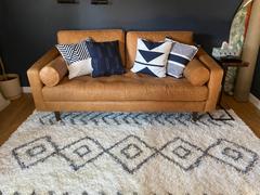 Poly & Bark Napa 72 Apartment Sofa Review