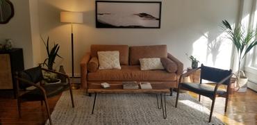 Poly & Bark Napa 72 Apartment Sofa Review