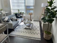Poly & Bark Casablanca Area Rug Review