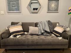 Poly & Bark Genoa Accent Pillow Review