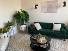 Poly & Bark Strada Area Rug Review