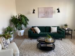 Poly & Bark Strada Area Rug Review