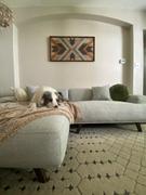 Poly & Bark Mineta Left-Facing Sectional Sofa Review