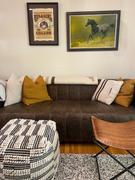 Poly & Bark Canale Sofa Review
