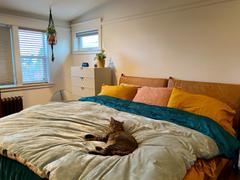 Poly & Bark Truro Bed Headboard Cushion Set Review