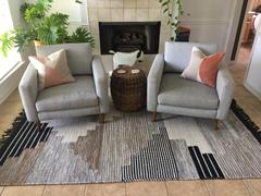 Poly & Bark Erico Area Rug Review