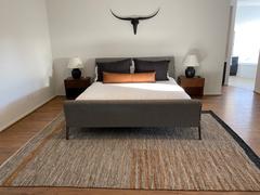Poly & Bark Malin Leather Rug Review