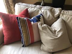 Poly & Bark Bruno Throw Pillow Review