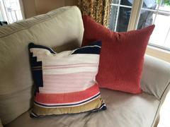 Poly & Bark Bruno Throw Pillow Review