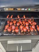 zgrills NEW ARRIVAL Z GRILLS-700D3 Review