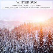 Begonia & Bench Winter Sun Review
