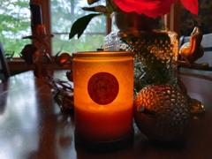 Begonia & Bench Forest & Flannel - Signature Aroma by MeadowFox Review