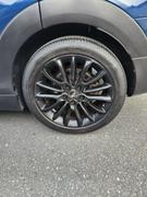 Ethos Car Care Graphene Shine - Trim & Tire Shine Review