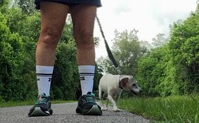 Zensah ZS Retro Stripe Socks (Crew) Review