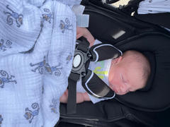 Mockingbird Infant Seat Insert Review