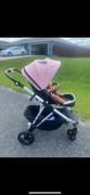 Mockingbird Extendable Canopy Review