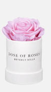 Dose of Roses Suede One Review