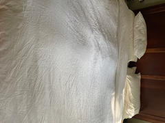 Quince Organic Percale Luxe Duvet Cover Review