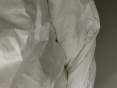 Quince Luxe Goose Down Comforter Review