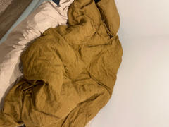 Quince Premium Down Comforter Review