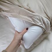 Quince Luxe Goose Down Pillow Review