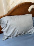 Quince Premium Down Pillow Review
