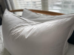 Quince Premium Down Alternative Pillow Review
