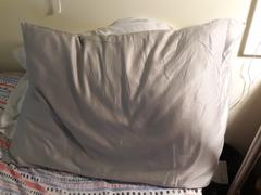 Quince Mulberry Silk Beauty Sleep Pillowcase Review