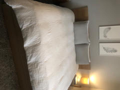 Quince European Linen Sham Set Review