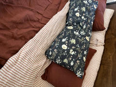 Quince European Linen Sham Set Review