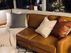Quince Luxe Leather Pillow Cover Review