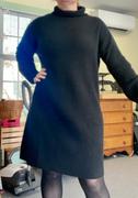 Quince Mongolian Cashmere Textured Sweater Dress Review