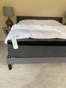 Quince Luxe Downtop Featherbed Mattress Topper Review