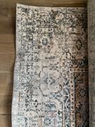 Quince Leyla Rug Review