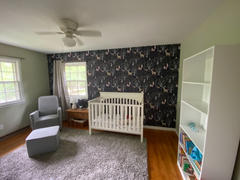 MUSE Wall Studio Navy Woodland Forest Review