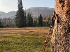 Paria Outdoor Products Tri-Fold Carbon Cork Trekking Poles Review